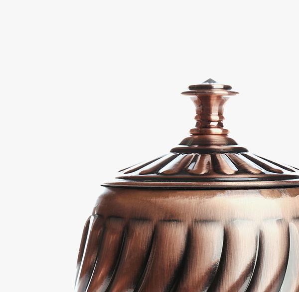 Shop-singl-9-product-img-3 a